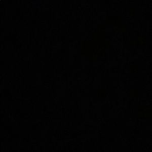 Meet your Posher, Callie